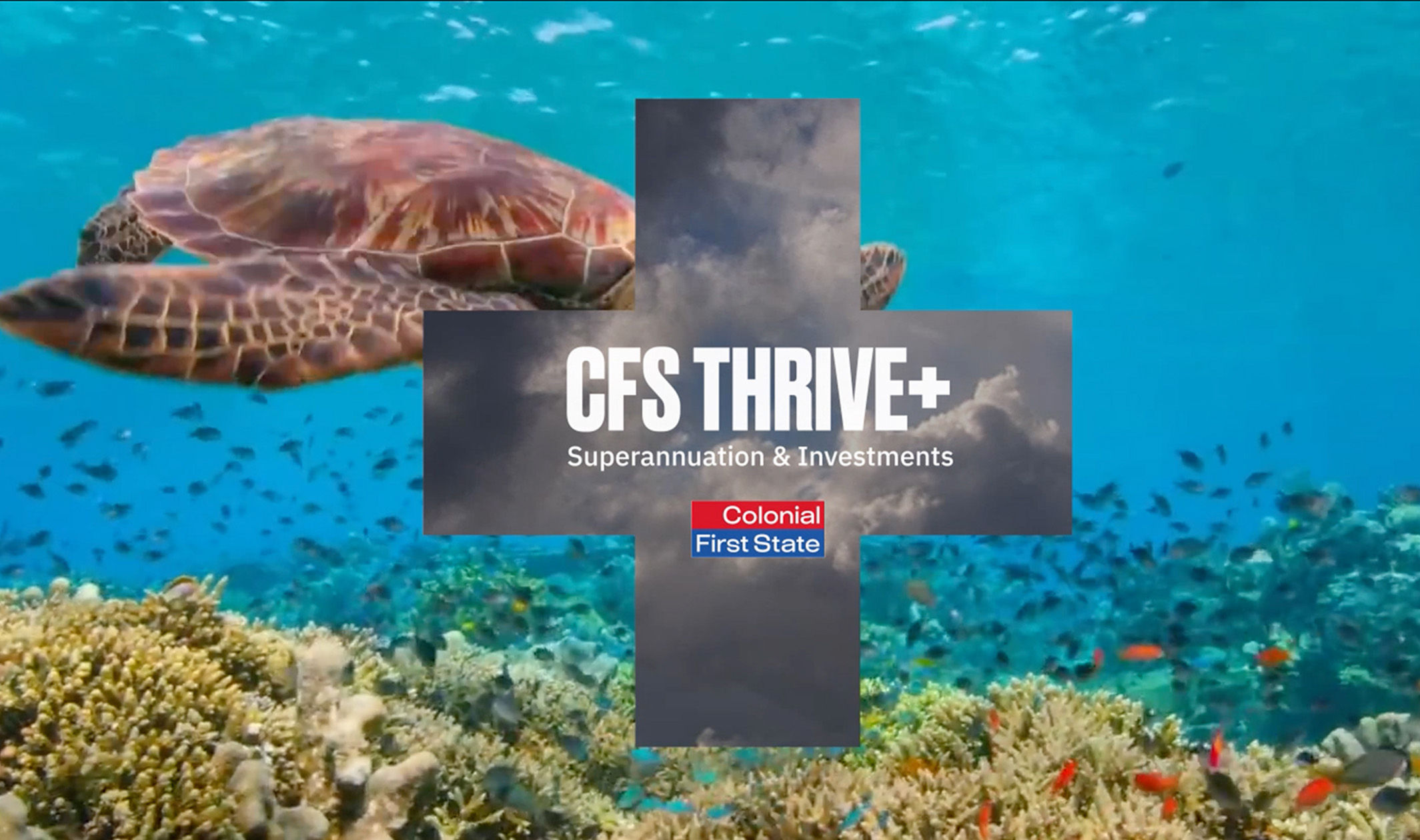 CFS thrive slide2